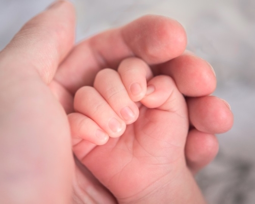 Hand of a baby in the hand of her mother