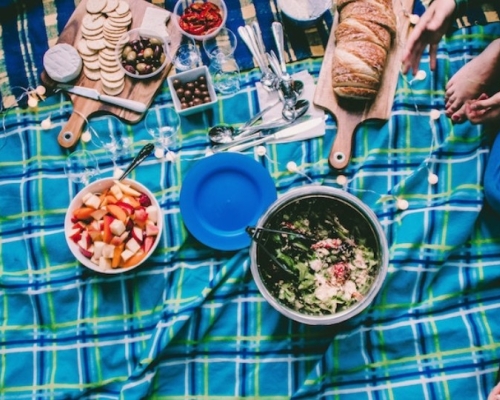 picnic nutrition