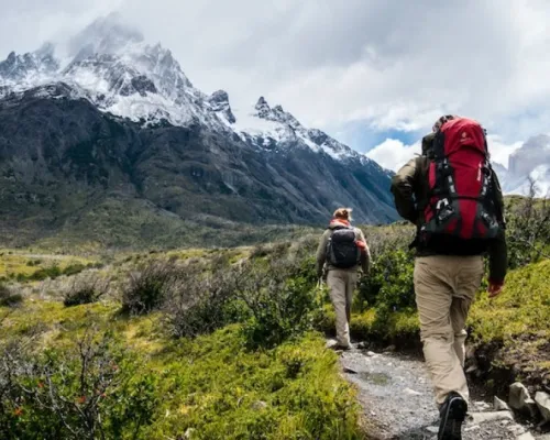 "summer snacks," "hiking snacks," "trail mix recipes," "smoothie ideas," "energy balls," and "hydration tips."