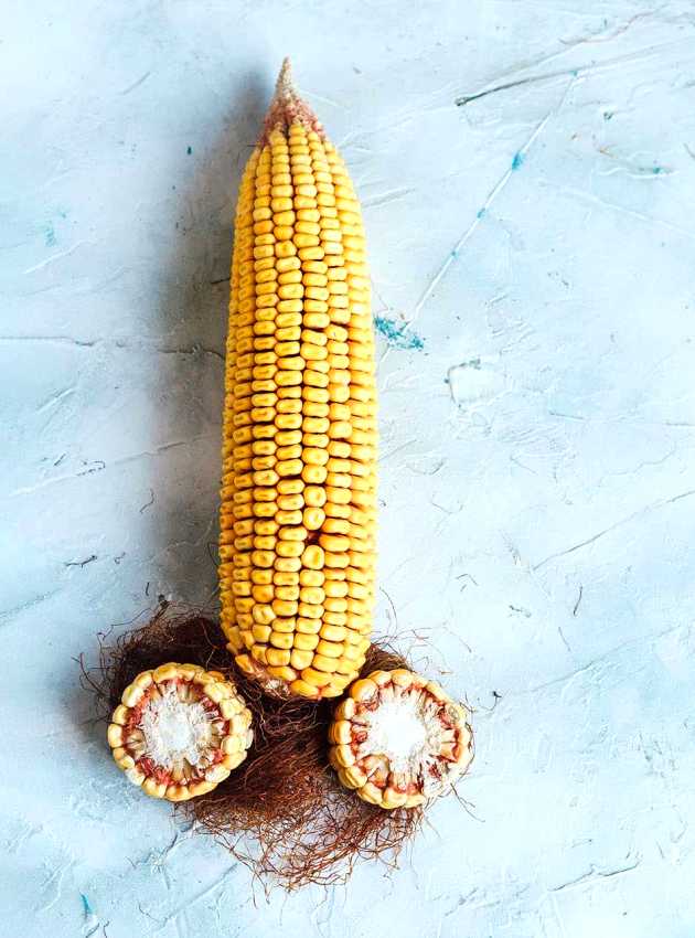 Corn Maïs Phalus