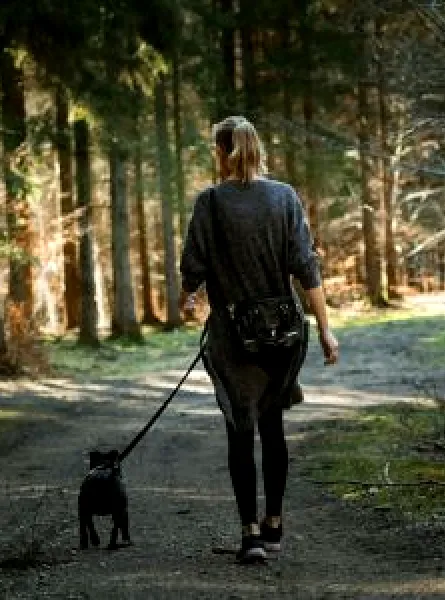 Girl walking dog