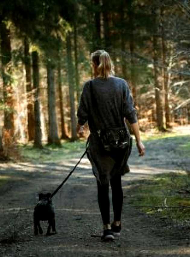 Girl walking dog