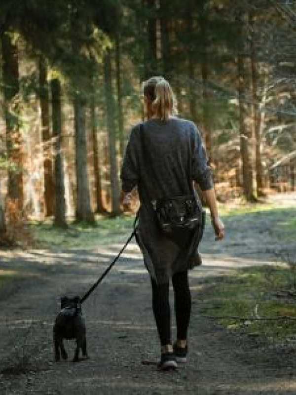 Girl walking dog