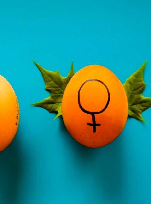 Two eggs displaying female and male signs