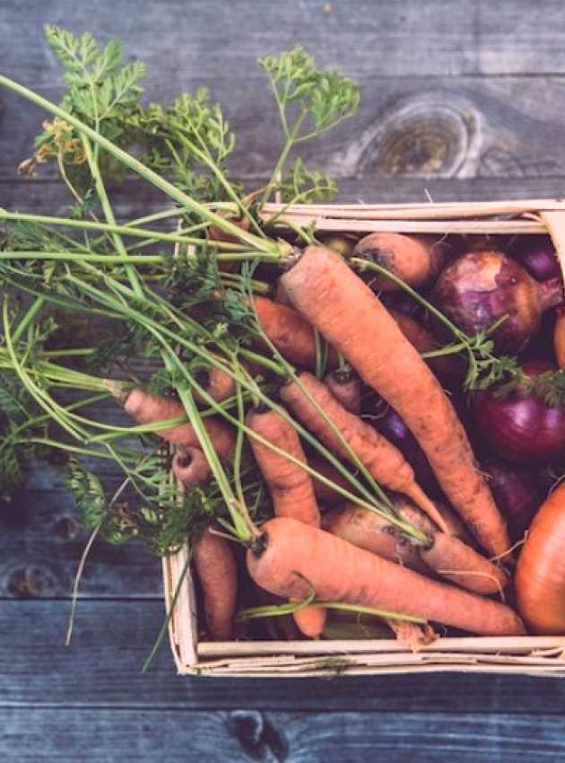 organic vegetable basket on a wooden table