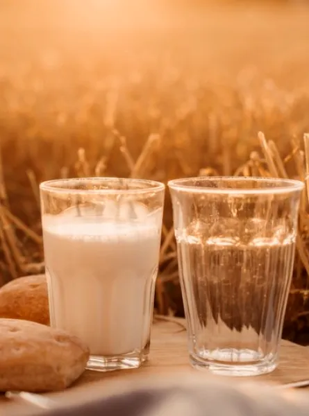 milk in a field
