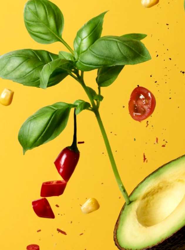 avocado, cucumber, tomatoes, basilic on a yellow background