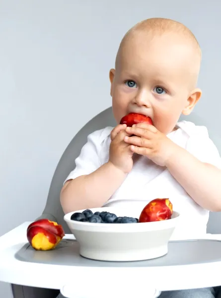 Meals That Bring Us Together: How BLW Promotes Family Moments