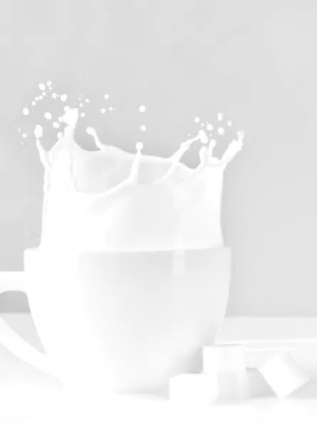 Dairy products, milk