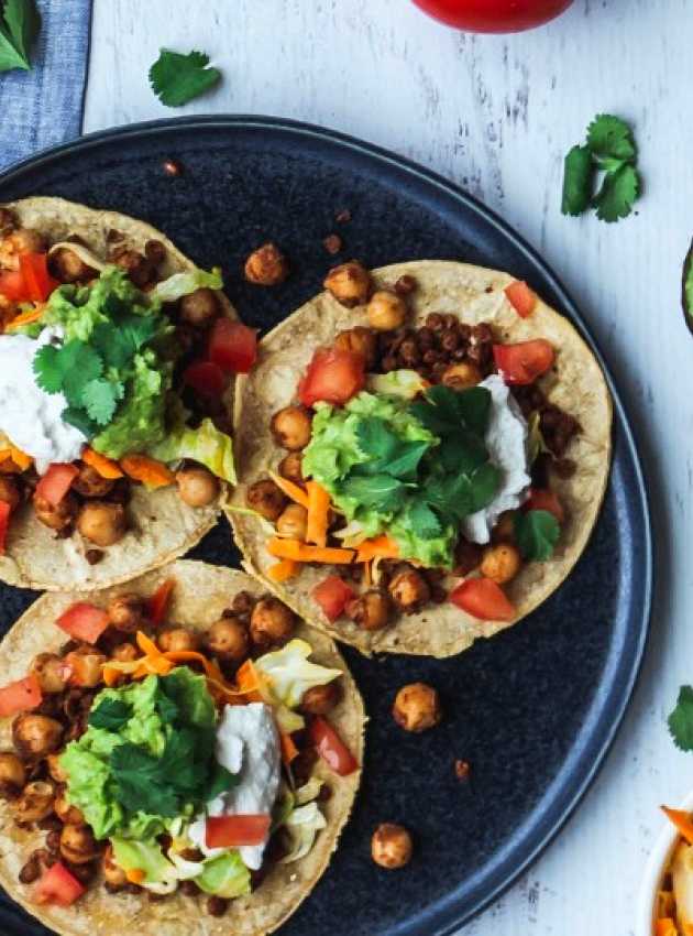 vegetable protein on a tortilla, nacho-style