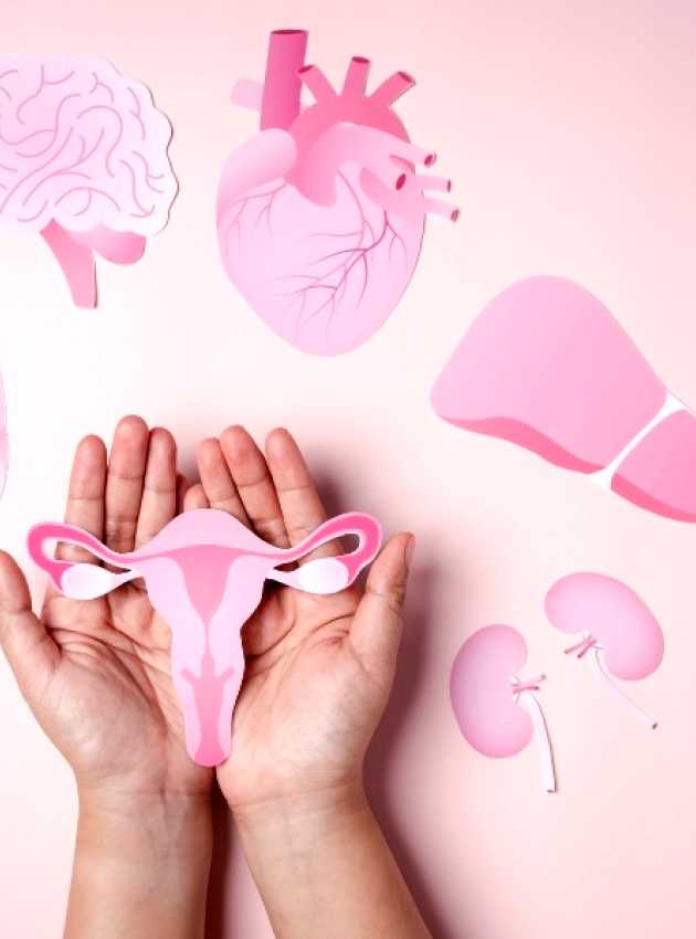 a person's hands are holding pink paper cutouts of organs infertility nutrition advices