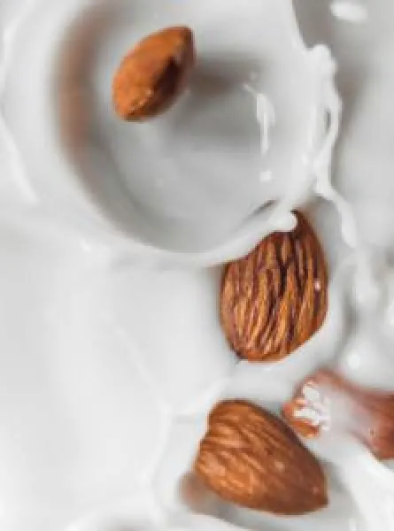 5 food groups rich in calcium