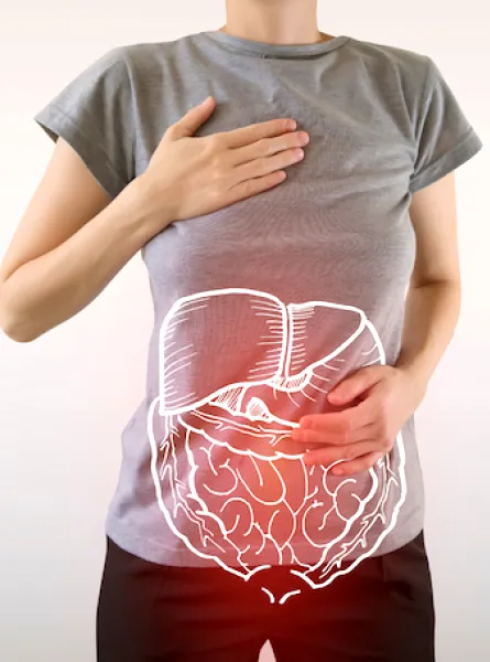 Le SIBO : un trouble méconnu qui mérite une prise en charge nutritionnelle