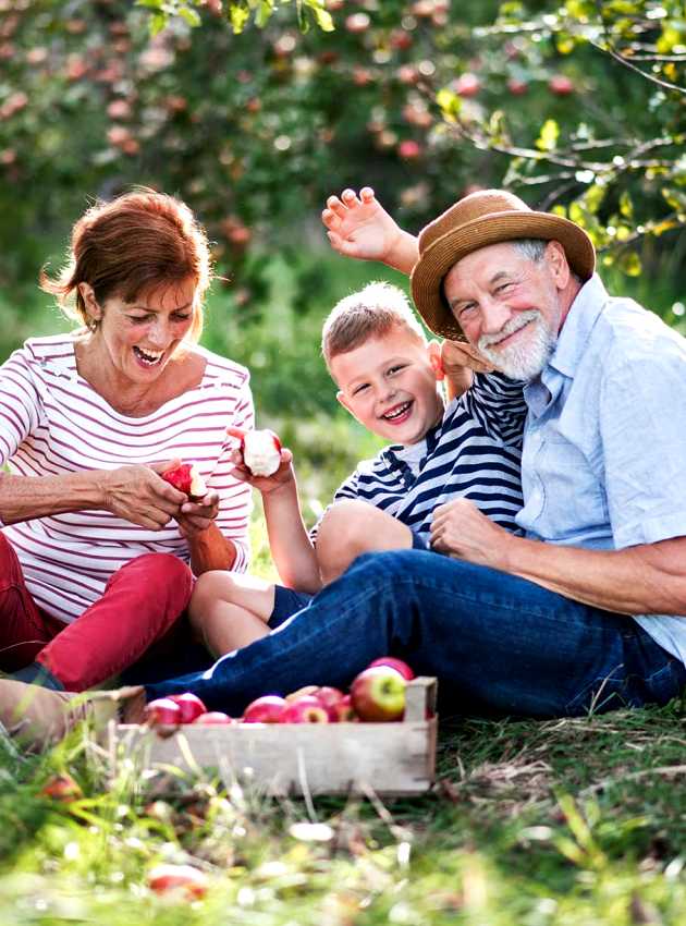 Senior couple with grandson sitting in an orchard