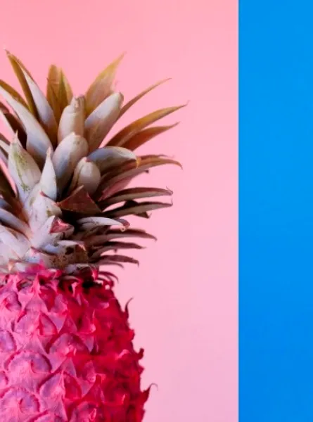 pink pineapple blue pineapple