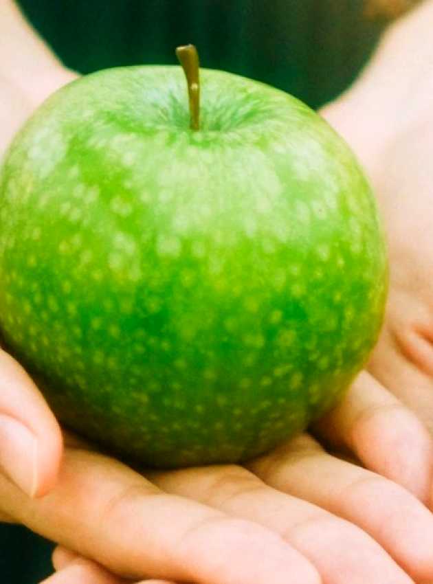 Green apple in hands