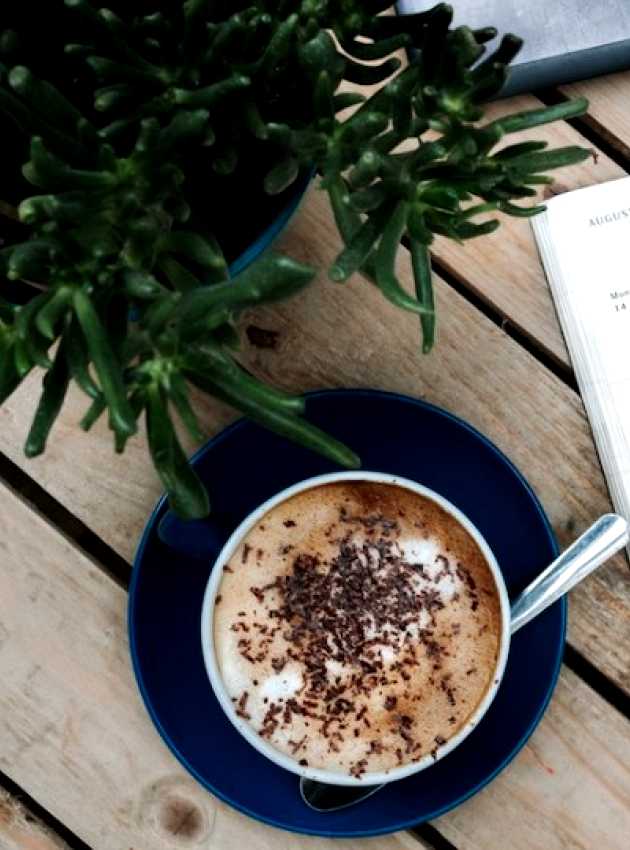 A coffee, agenda and a plant on a wood table