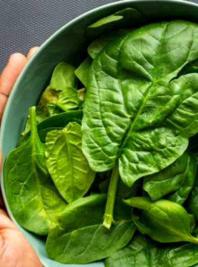 Bowl of spinach