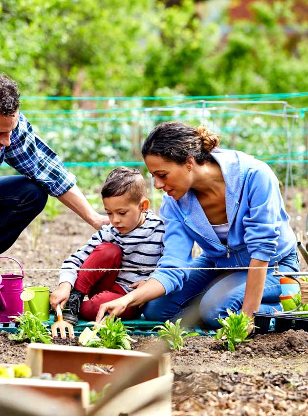 Famille faisant du jardinage - Family gardening