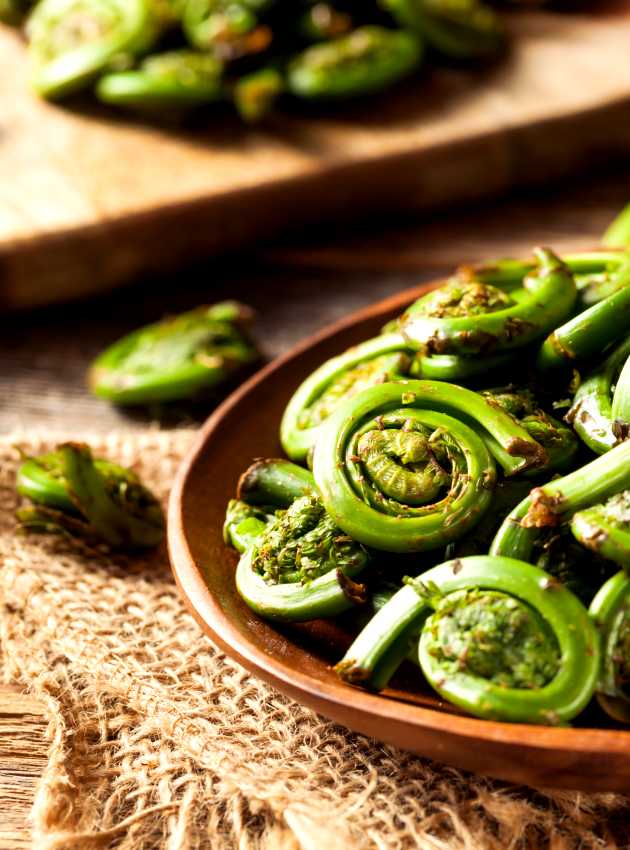 Fresh Fiddleheads