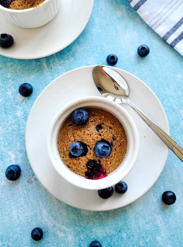 Gâteau pouding aux bleuets réduit en sucre dans une tasse Reduced-Sugar Blueberry Pudding Cake in a Mug  ÉquipeNutrition Teamnutrition