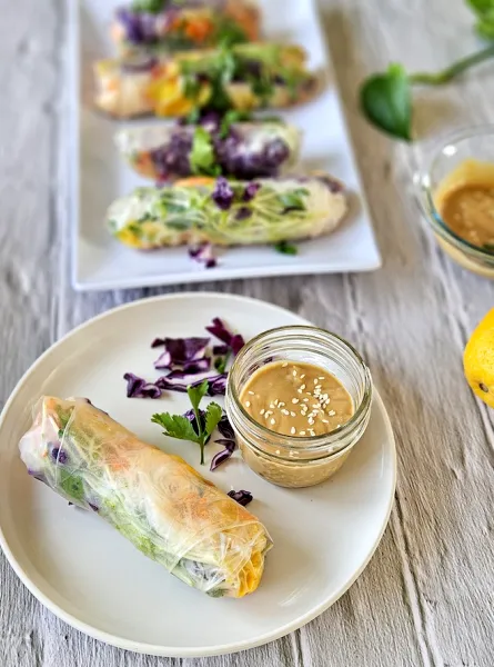 Rouleau de printemps au poulet