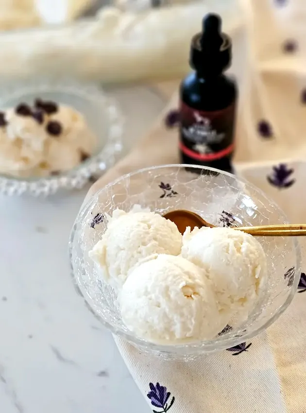 Yogourt glacé à la vanille - Vanilla Frozen Yogurt